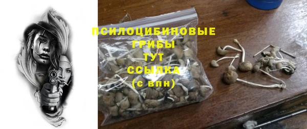 COCAINE Бородино