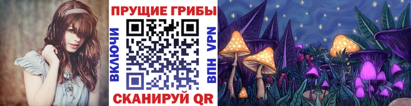 закладка  Мытищи  Псилоцибиновые грибы MAGIC MUSHROOMS 